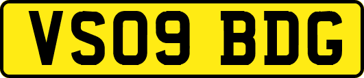 VS09BDG