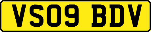 VS09BDV