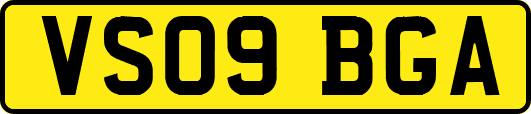 VS09BGA
