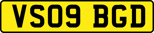 VS09BGD