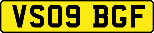 VS09BGF