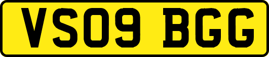 VS09BGG