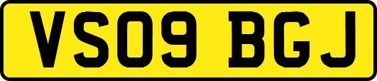 VS09BGJ