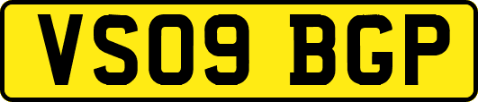 VS09BGP