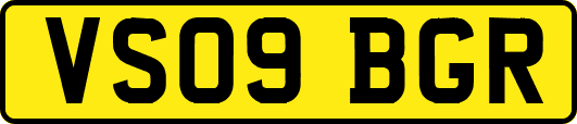 VS09BGR