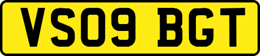 VS09BGT