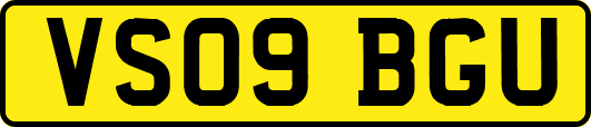 VS09BGU