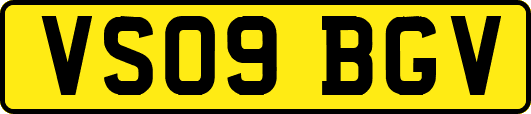 VS09BGV