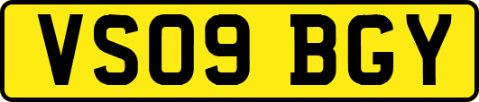 VS09BGY