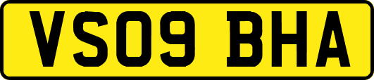 VS09BHA