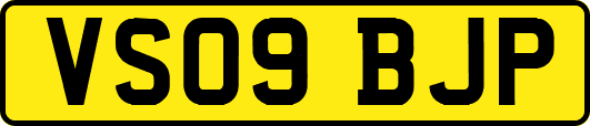 VS09BJP