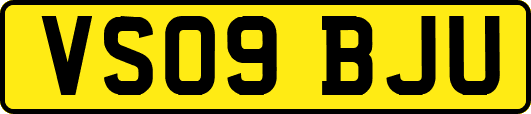 VS09BJU