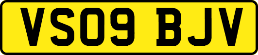 VS09BJV