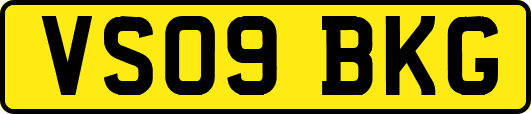 VS09BKG
