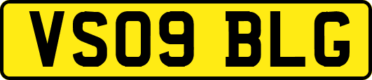 VS09BLG