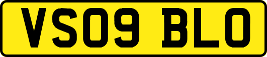 VS09BLO