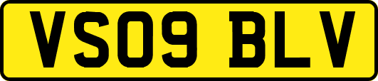 VS09BLV