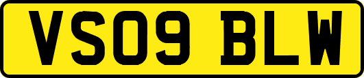 VS09BLW
