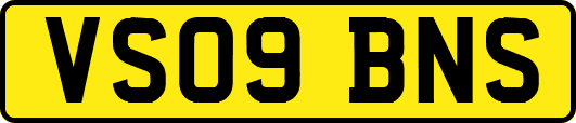 VS09BNS