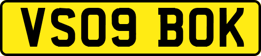 VS09BOK