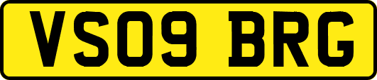 VS09BRG