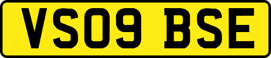 VS09BSE