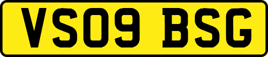 VS09BSG