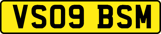VS09BSM