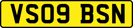 VS09BSN