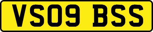 VS09BSS