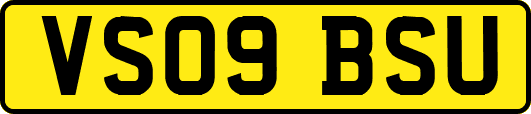 VS09BSU