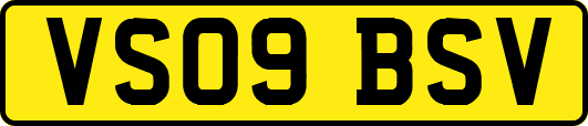 VS09BSV
