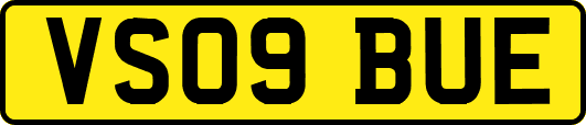 VS09BUE