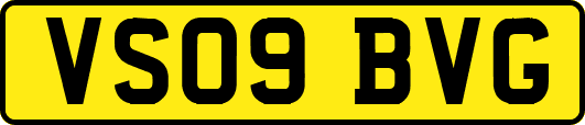 VS09BVG