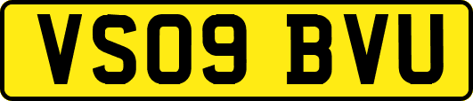 VS09BVU