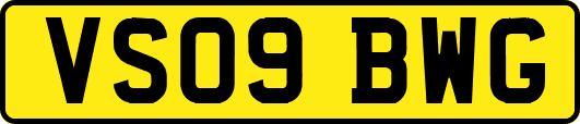 VS09BWG