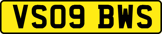 VS09BWS
