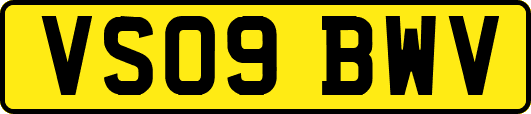 VS09BWV