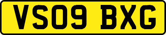 VS09BXG