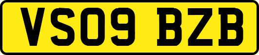 VS09BZB