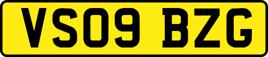 VS09BZG