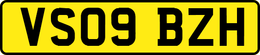 VS09BZH