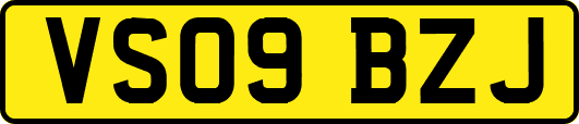 VS09BZJ