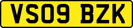 VS09BZK