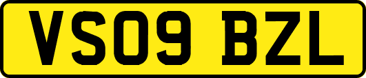 VS09BZL