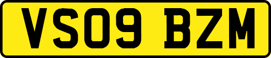 VS09BZM