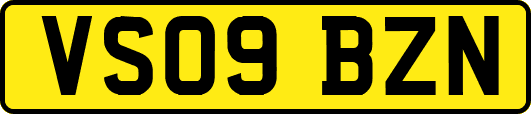 VS09BZN