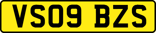 VS09BZS