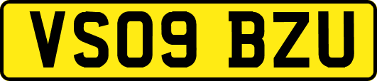VS09BZU