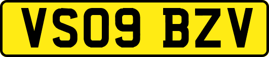 VS09BZV
